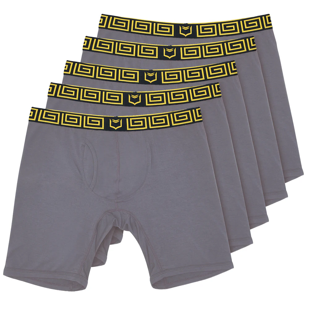 SHEATH V Modal Men's Pouch Boxer Brief 8" (5 Pack) - Image 18