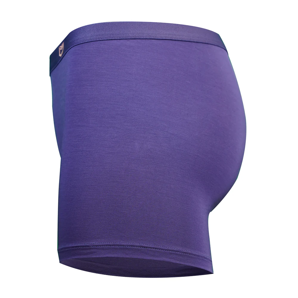 SHEATH Women's Bamboo Boxer Brief - Image 12