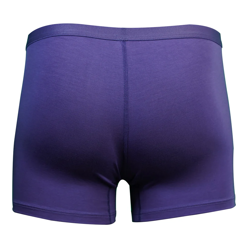 SHEATH Women's Bamboo Boxer Brief - Image 13